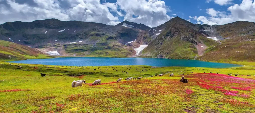 Deosai National Park: Best Time, Route & Tips (2026-27)