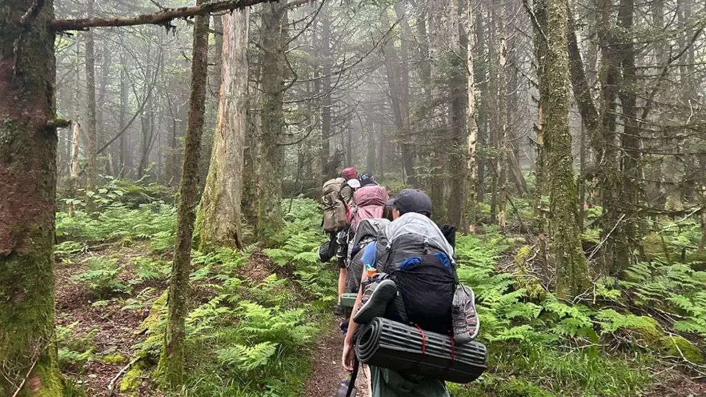 Wilderness Trip for Burnout: Essential Guide, Real Stories