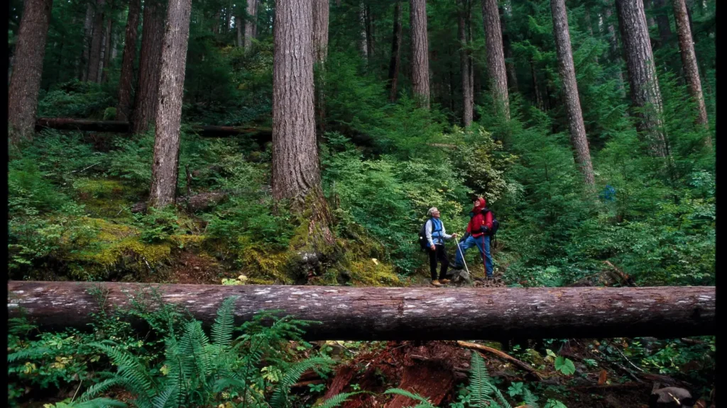 Hiking Stories That Will Inspire You: 5 True Trail Tales and the Books Behind Them