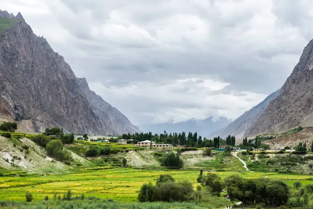 Autumn poplars and fields beside a braided river with Karakoram peaks lit at dusk, Hushe Valley trek